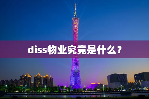 diss物业究竟是什么？