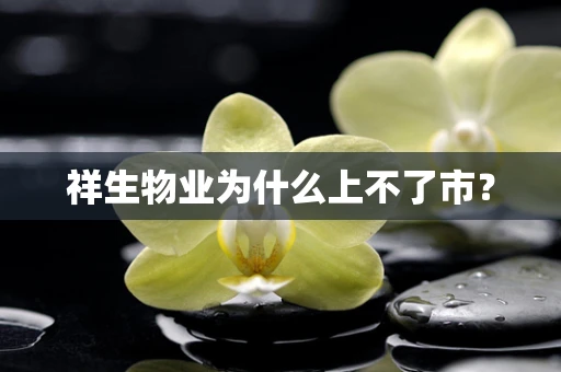 祥生物业为什么上不了市？