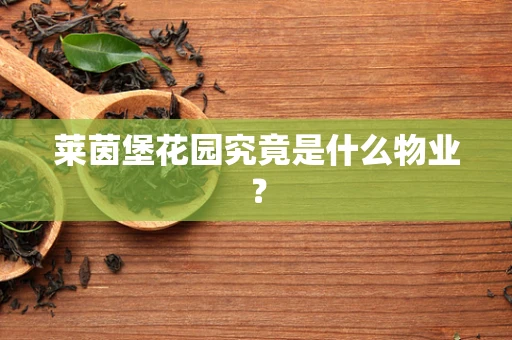 莱茵堡花园究竟是什么物业？