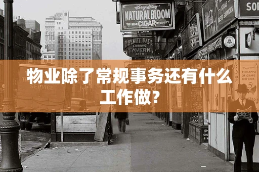 物业除了常规事务还有什么工作做？