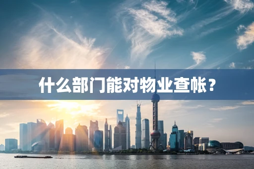 什么部门能对物业查帐？