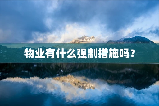 物业有什么强制措施吗？