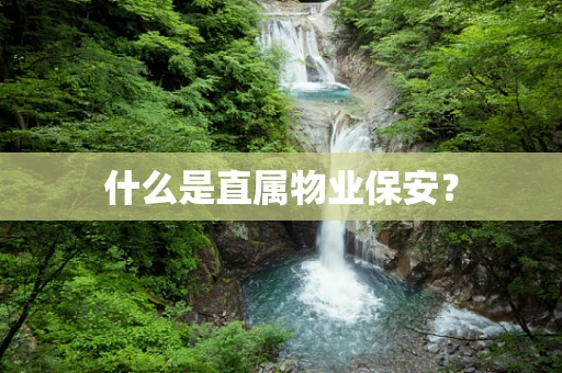 什么是直属物业保安？