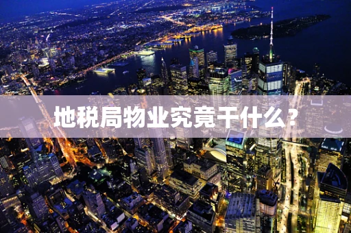 地税局物业究竟干什么？