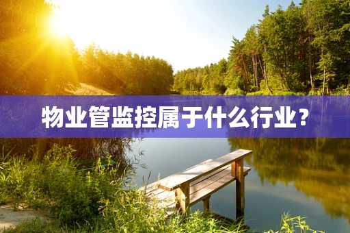 物业管监控属于什么行业？