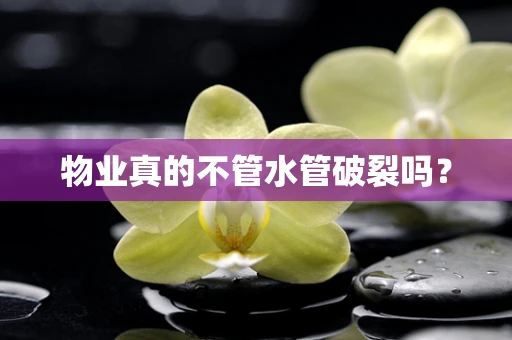物业真的不管水管破裂吗？