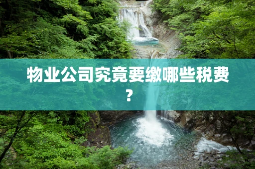 物业公司究竟要缴哪些税费？