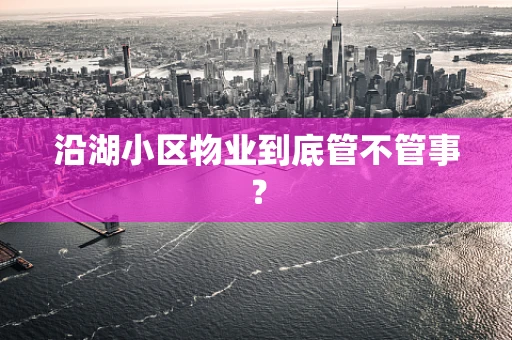 沿湖小区物业到底管不管事？
