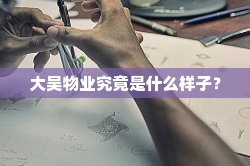 大吴物业究竟是什么样子？