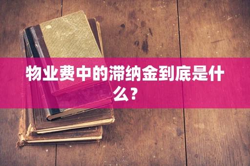 物业费中的滞纳金到底是什么？