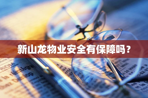 新山龙物业安全有保障吗？