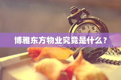 博雅东方物业究竟是什么？