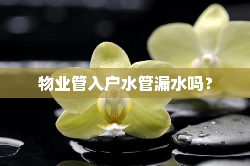 物业管入户水管漏水吗？