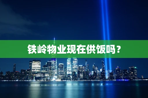 铁岭物业现在供饭吗？
