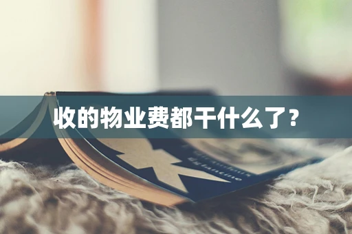 收的物业费都干什么了？