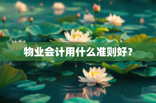 物业会计用什么准则好？