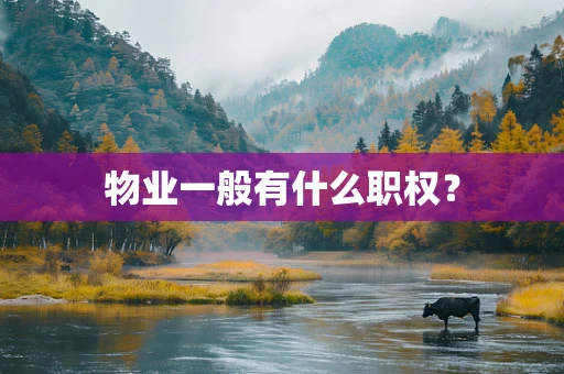 物业一般有什么职权？