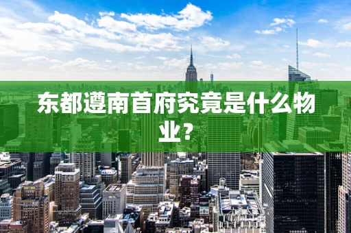 东都遵南首府究竟是什么物业？