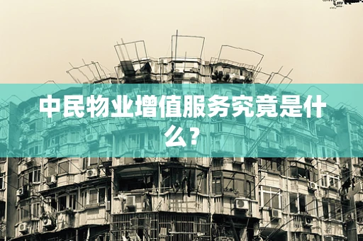 中民物业增值服务究竟是什么？