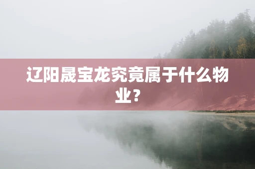辽阳晟宝龙究竟属于什么物业？