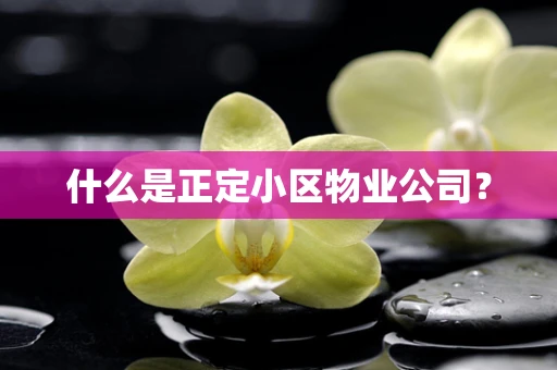 什么是正定小区物业公司？