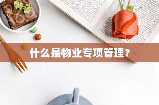 什么是物业专项管理？