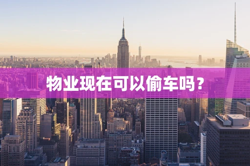物业现在可以偷车吗？