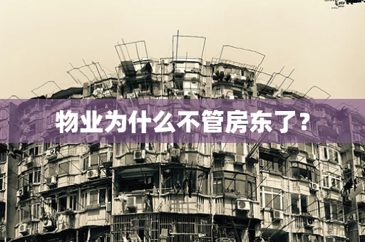 物业为什么不管房东了？
