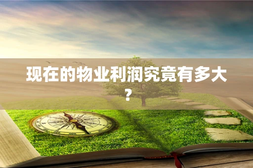 现在的物业利润究竟有多大？