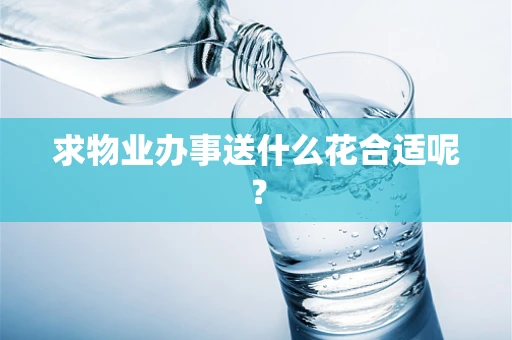 求物业办事送什么花合适呢？