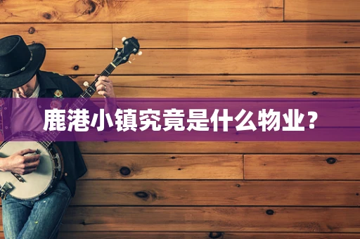 鹿港小镇究竟是什么物业？