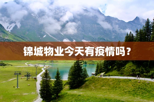锦城物业今天有疫情吗？