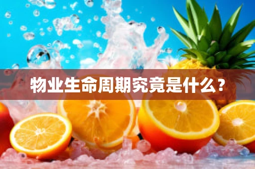 物业生命周期究竟是什么？