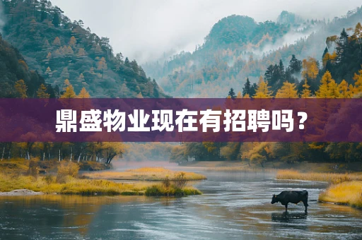 鼎盛物业现在有招聘吗？