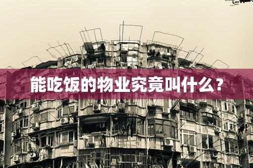 能吃饭的物业究竟叫什么？