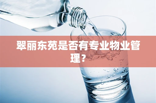 翠丽东苑是否有专业物业管理？