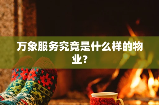 万象服务究竟是什么样的物业？