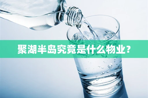 聚湖半岛究竟是什么物业？
