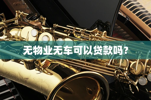 无物业无车可以贷款吗？