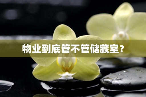 物业到底管不管储藏室？