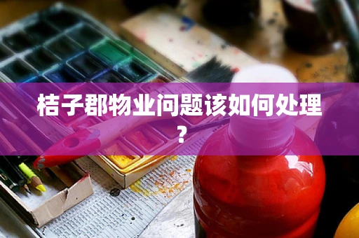 桔子郡物业问题该如何处理？