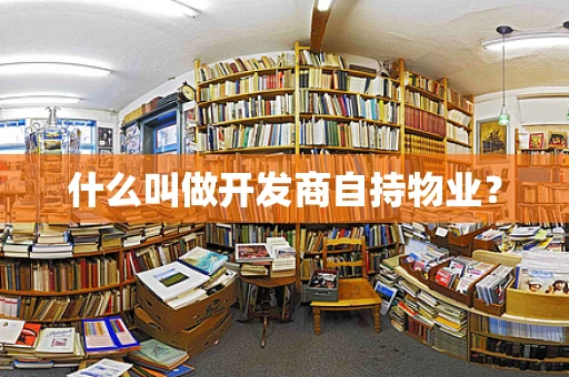 什么叫做开发商自持物业？