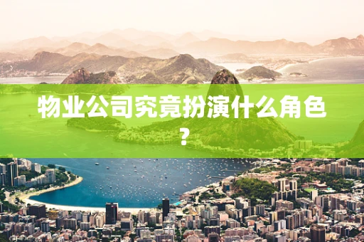 物业公司究竟扮演什么角色？