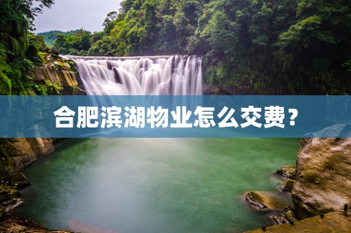合肥滨湖物业怎么交费？