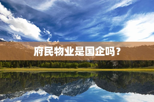 府民物业是国企吗？