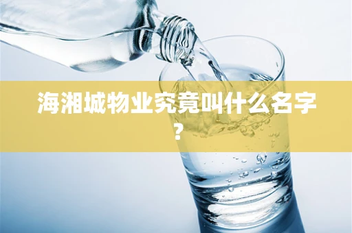 海湘城物业究竟叫什么名字？