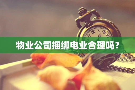 物业公司捆绑电业合理吗？