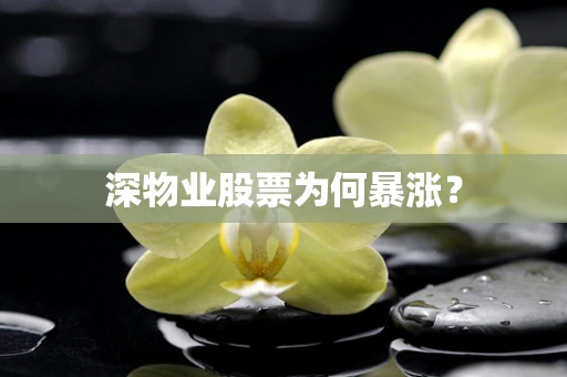深物业股票为何暴涨？