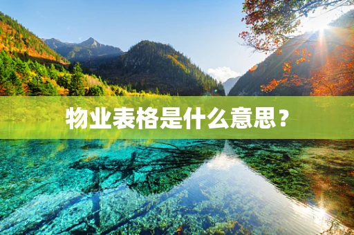 物业表格是什么意思？