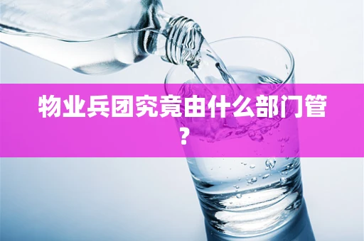 物业兵团究竟由什么部门管？